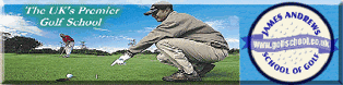 Visit the website