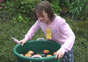 Apple bobbing