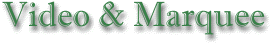 video.gif (6387 bytes)